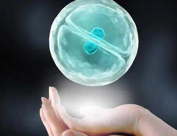 可靠的助孕机构有哪些|吉林省2023
年最新供卵试管助孕医院排名-内附吉林供卵